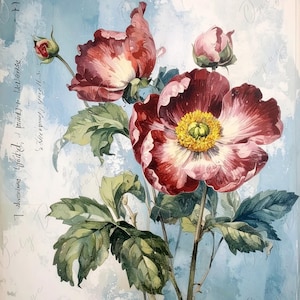 Arte Botânica - 7 Opções de Tamanho - Papel Decoupage Grande para Móveis - Flor Vermelha