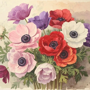 Anémona - Papel de decoupage para muebles - 7 tamaños - Arte botánico - Acuarela