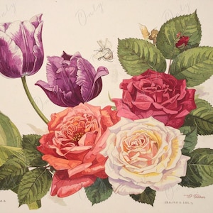 Arte botánico - 7 tamaños - Papel de decoupage grande para muebles - Decoupage floral - Rosas