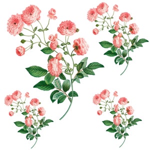 Roses - Flowers - Spring Themed - Large Decoupage Paper for Furniture - Floral Craft Paper - Wrapping Paper - Tissue Paper - Packing Paper