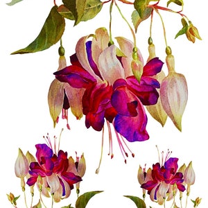 Easy Furniture Transfer - Decor Transfer - Furniture Upcycling - Floral Transfer - DIY