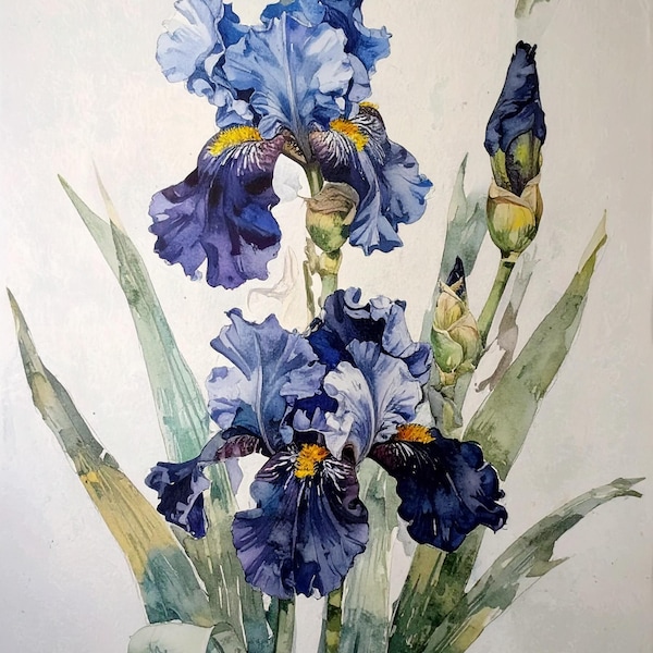 Decoupage Papier für Möbel - 7 Größen Optionen - Botanische Kunst - Blaue Iris Blume Blüte