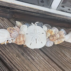 May include: A decorative seashell arrangement featuring a large, white sand dollar and various seashells in shades of white, tan, and brown. The arrangement is set against a backdrop of weathered wood.