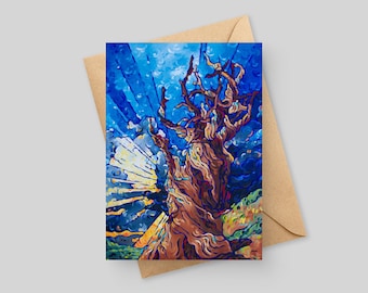 Bristle Cone Pine - 5x7 Biglietto d'auguri