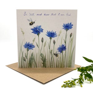 Prairie de bleuets