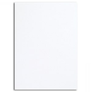 May include: A blank white sheet of paper.