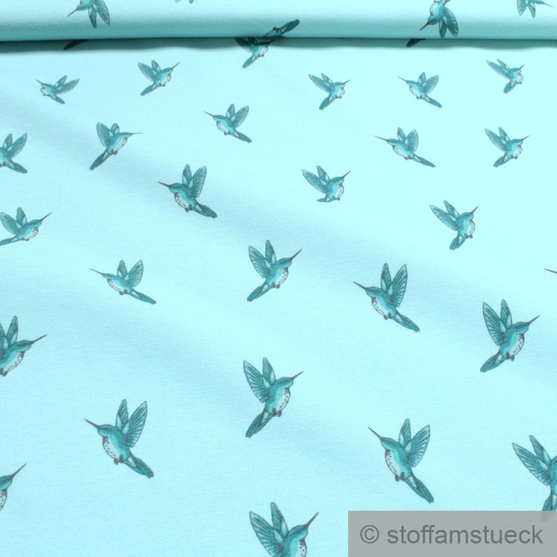 Fabric cotton elastane Single Jersey French Terry pastel turquoise hummingbird summer sweat