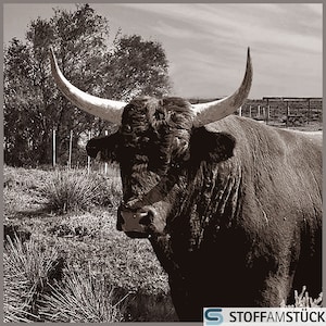 Fabric Cushion Panel Imitation Leather Cattle Black White 45 cm x 45 cm Longhorn Cattle Ox Digitally Printed