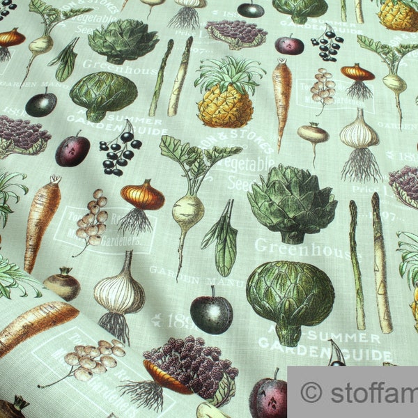 Stoff Baumwolle Panama türkis Gemüse 160 cm breit Artischocke Rettich Rübe Spargel Zwiebel Baumwollstoff weich