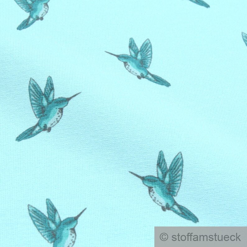 Fabric cotton elastane Single Jersey French Terry pastel turquoise hummingbird summer sweat