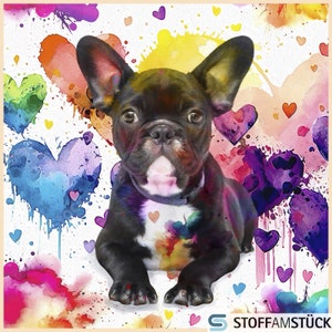 Stoff Kissen Panel Kunstleder Französische Bulldogge 45 cm x 45 cm digital bedruckt