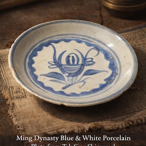 Chinese antique blue white porcelain plate Ming Dynasty 15-17th Century Tek Sing Shipwreak