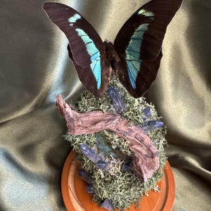 Schmetterling & Kristalle in mittlerer Glas Cloche