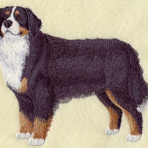 Bernese Mountain Dog  Hand Towel