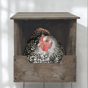 May include: A speckled hen with a red comb sits inside a rustic wooden nesting box. The box has a pitched roof and is made of weathered wood. The hen's feathers are black and white, and its head is visible.