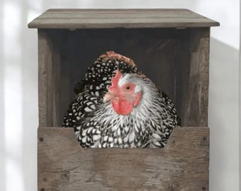 Nesting Box For Chickens & Rabbits With Hinged Lid