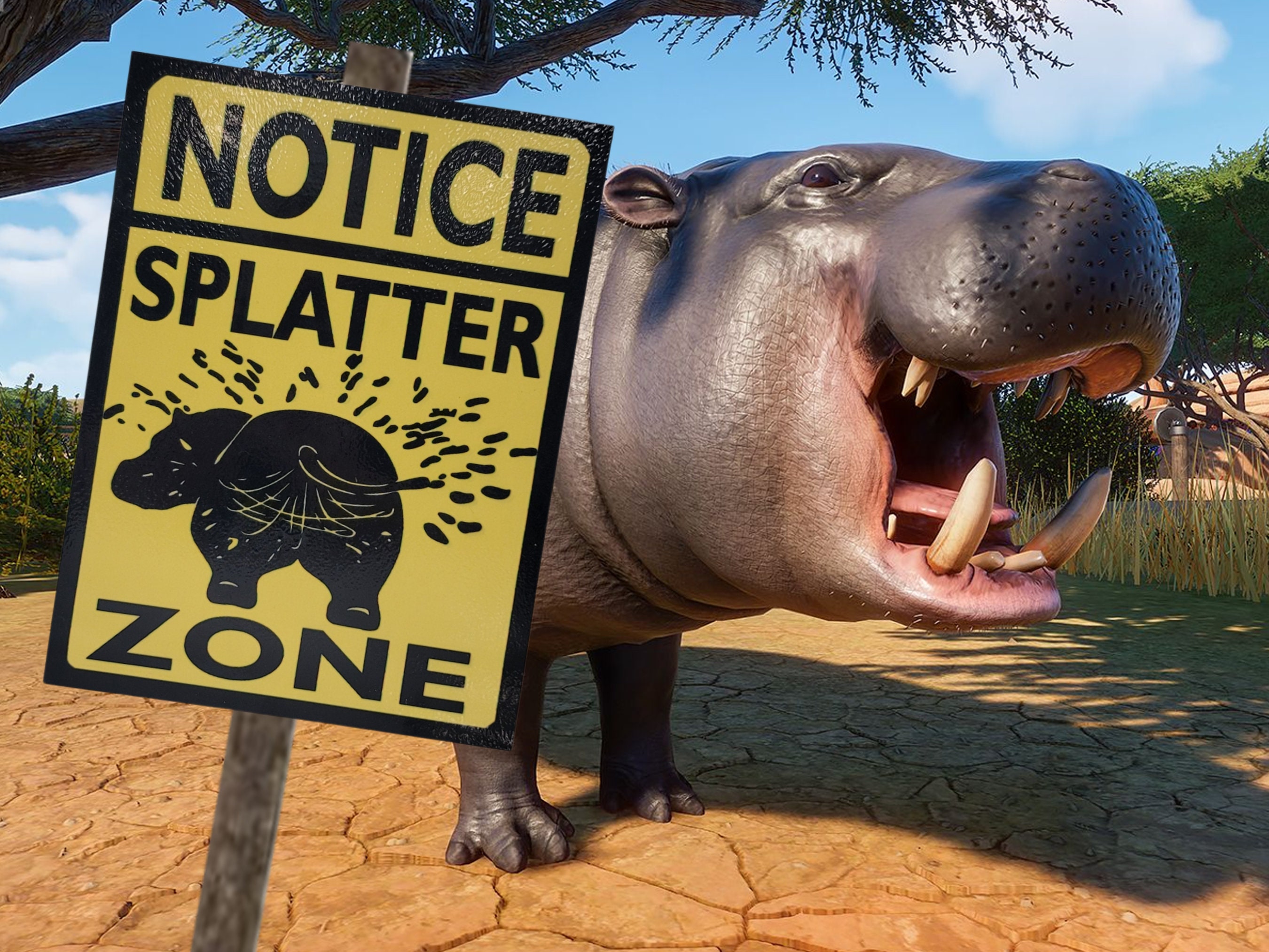 Hippo Holiday