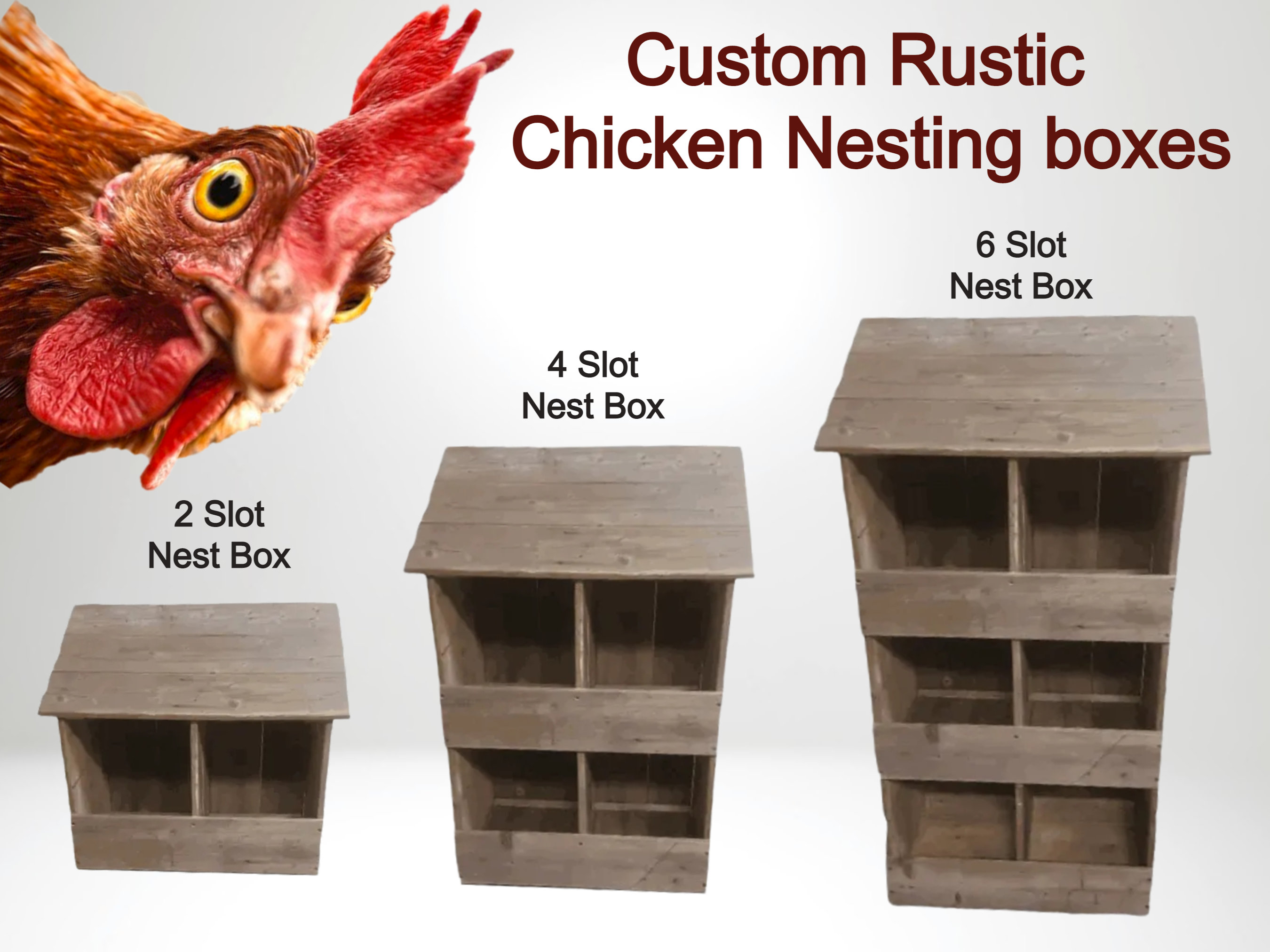 Triple Nest Box Egg Hutch | American Coop Style