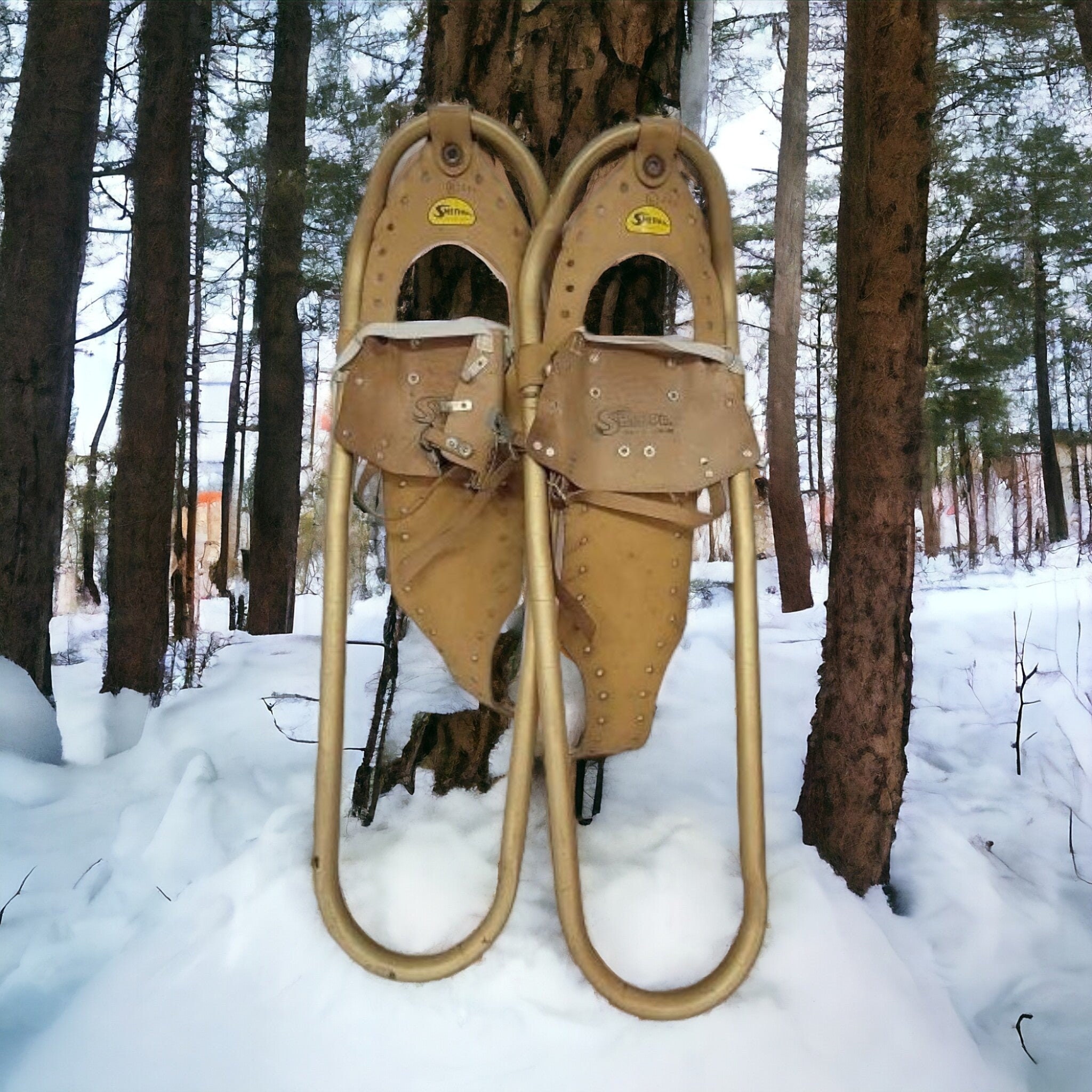 Aluminum Snow Shoes