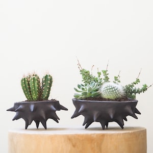 Ceramic planter | Black clay planter | Handmade plant pot | Black planter pot | Modern planter | Plant lover gift | Stoneware planter