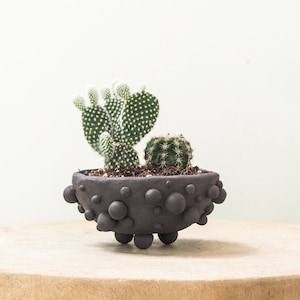 Small planter ceramic | Black planter | Ceramic plant pot small | Handmade planter | Modern planter | Plant lover gift | Stoneware planter