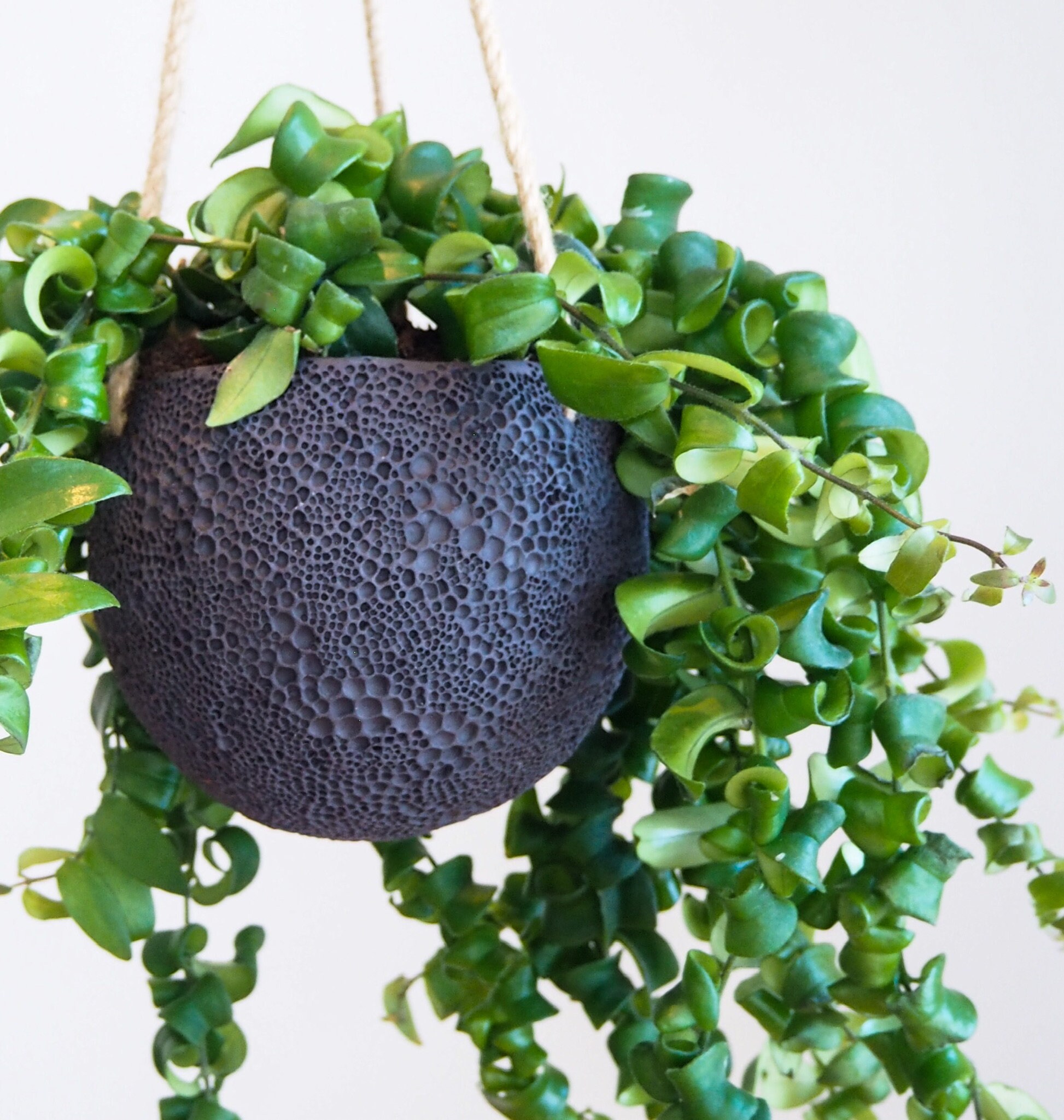 Stoneware Hanging Planter Outdoor Indoor Hanging Planter Etsy