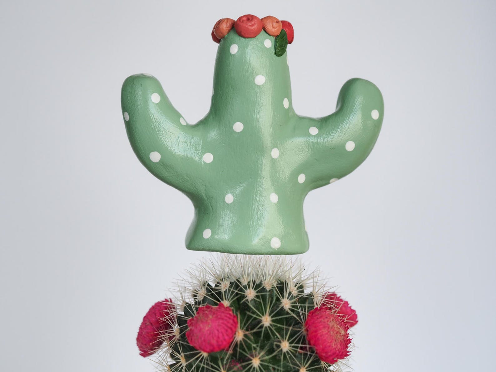 Cactus ring holder Boho ring dish Cactus jewelry holder Etsy