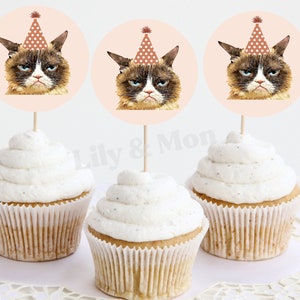 Grumpy Cat Birthday Printable | Printable Birthday Cupcake Toppers ...