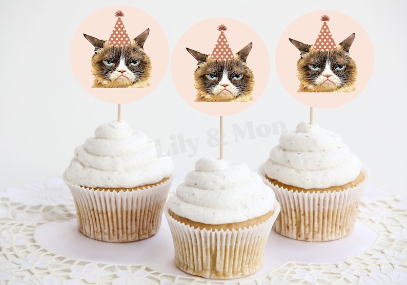grumpy-cat-birthday-printable-printable-birthday-cupcake-toppers-cat-cupcake-topper-printable