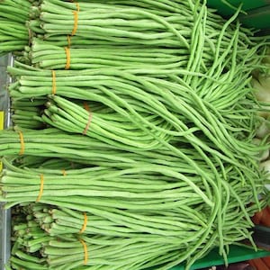 Può includere: Un grande mazzo di fagiolini lunghi e sottili, legati insieme da elastici arancioni. I fagiolini sono disposti in un mucchio ordinato, e le estremità dei fagiolini sono visibili nella parte inferiore dell'immagine.