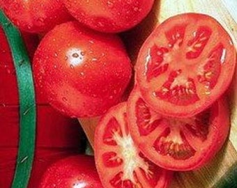 Old Time Heirloom Rutgers Tomato seeds by Stonysoil Seed Company