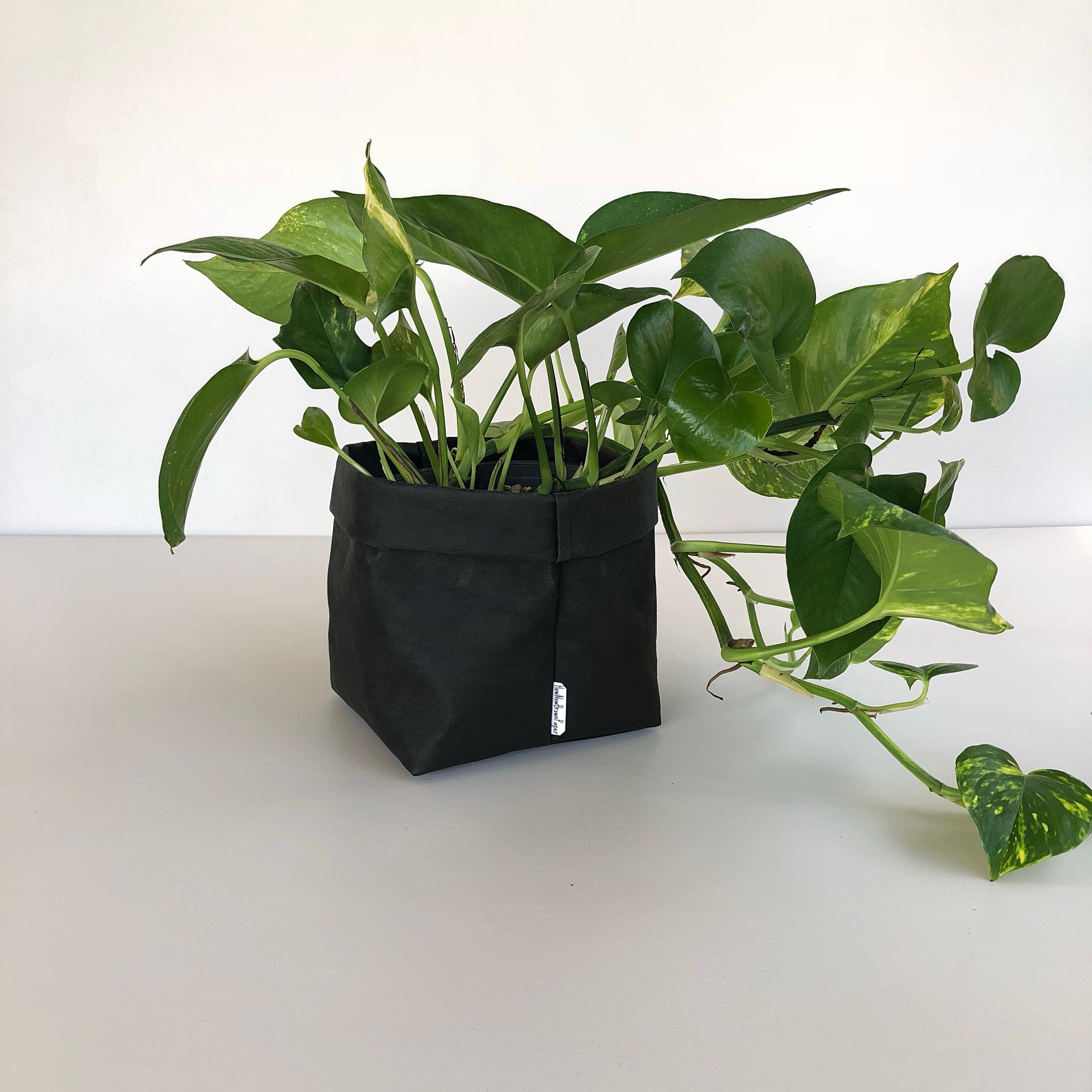 Washable Paper Basket LARGE Black / Washable Paper Plant Etsy