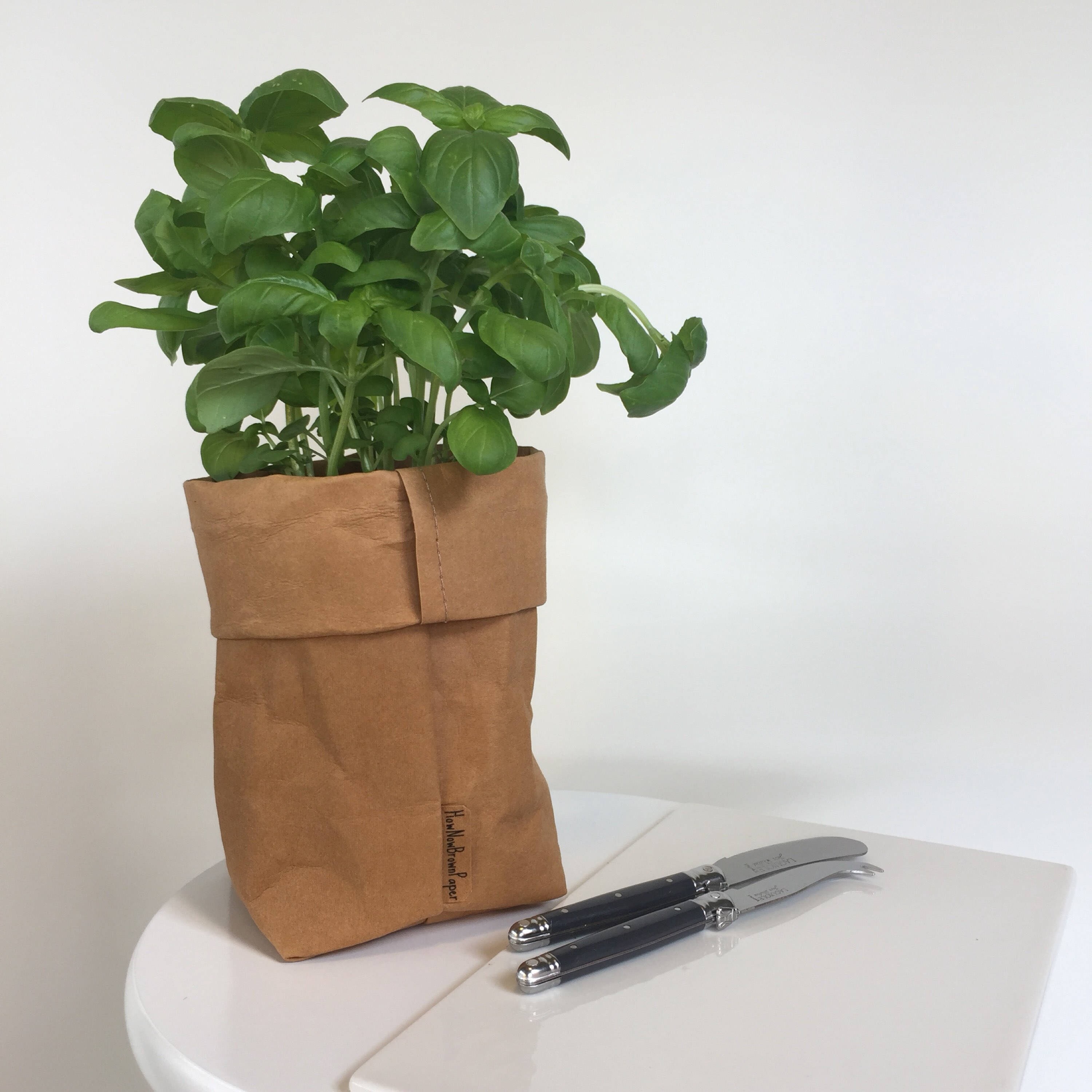 Washable Kraft Paper Storage Bag Kraft Brown SMALL Plant