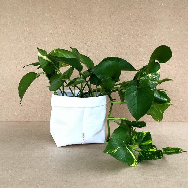 Washable Paper Planter LARGE Washable Paper Plant Holder Kitchen Basket Eco Bag Paper Bag Paper Basket Washable Paper Bag Bild 5