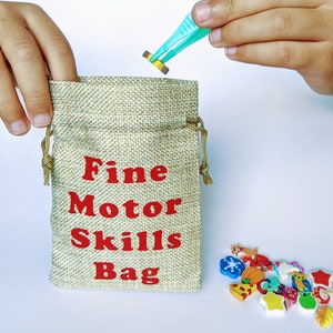 Fine Motor Skills Bag - Motor Skills Kit - Hand-Eye Coordination Activity - Educational Game - Busy Bag - Montessori Learning -Gift for Kids