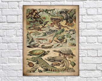 Reptile Print 1909 Adolphe Millot Poster reptillian Print Snakes Print lizard alligators Poster Larousse Poster Gift Idea 0221
