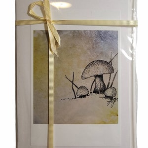 Greeting Cards, Set of 5 - Mushrooms, 5x7