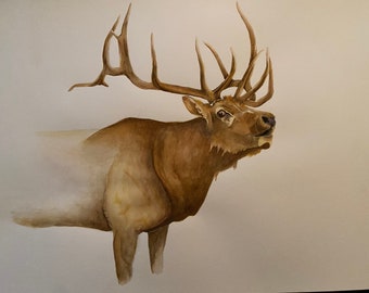 Original hand drawn elk watercolor art