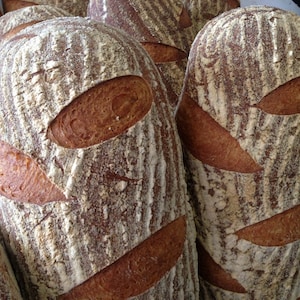 Wie man Sauerteigbrot in kleinen Bäckereien macht