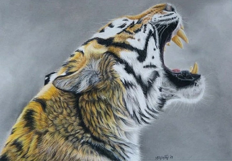 coloured pencil or graphite Wildtier Portrait nach Wunschvorlage Natur Wildlife Portrait commission in pastel