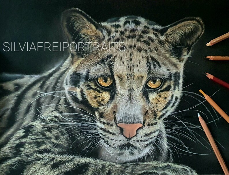 coloured pencil or graphite Wildtier Portrait nach Wunschvorlage Natur Wildlife Portrait commission in pastel
