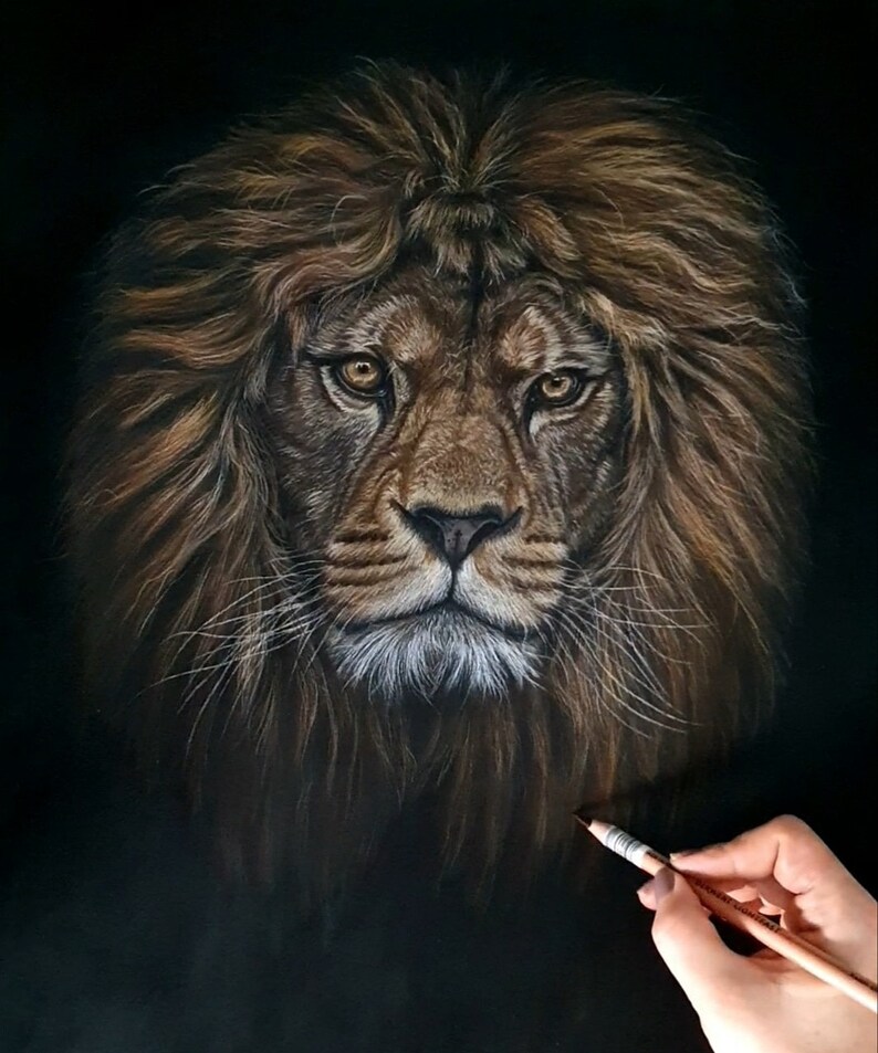 coloured pencil or graphite Wildtier Portrait nach Wunschvorlage Natur Wildlife Portrait commission in pastel
