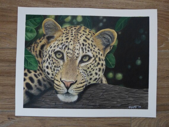 coloured pencil or graphite Wildtier Portrait nach Wunschvorlage Natur Wildlife Portrait commission in pastel