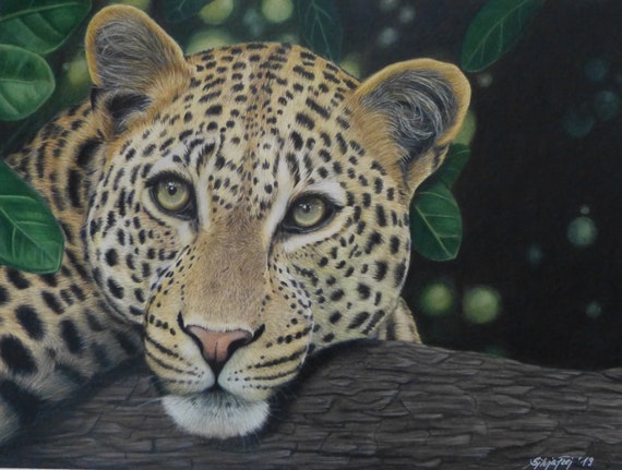 coloured pencil or graphite Wildtier Portrait nach Wunschvorlage Natur Wildlife Portrait commission in pastel