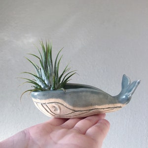 Handmade, Hand-sculpted ((Small Size)) Gray Light Blue Whale Ceramic Bowl Sculpture Air Planter Decorative Jewelry Holder ((SMALL))