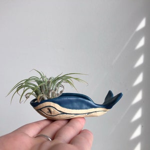 Handmade, Hand-sculpted MINI Size MATTE Sapphire Blue Green Whale Ceramic Bowl Sculpture Air Planter Jewelry Holder (MINIATURE)