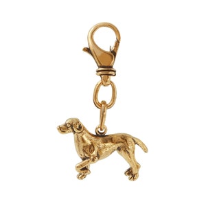 May include: A gold-colored metal dog keychain with a clip. The dog is standing on all four legs and has a long snout.