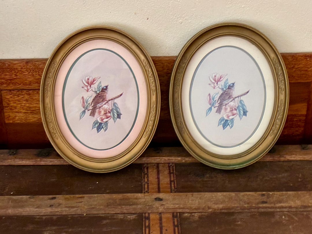 1983 Homco Bird Prints – Gold Oval Frames, Set of 2, 11x9” - Etsy