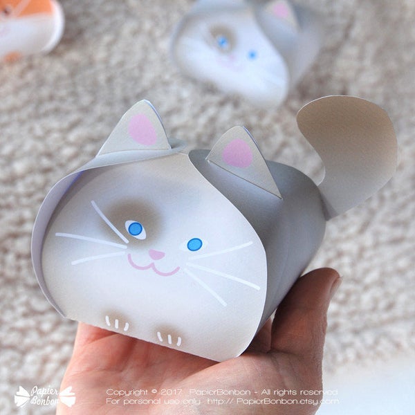 Cat favor box for purrrr’fect gift - 6 cute cat gift box for cat birthday favors