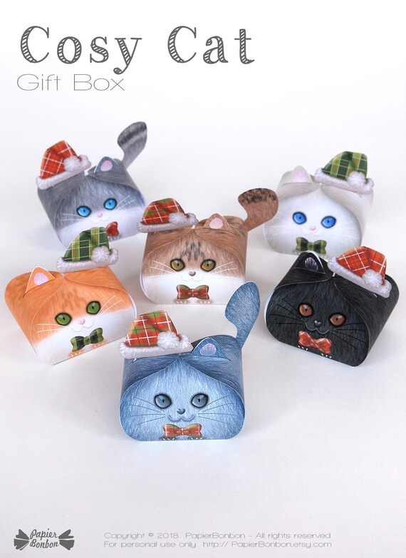 cat gift box